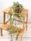 Artificial Hanging Fake Plants Fake Potted Eucalyptus for Wall Room Home Patio Indoor Outdoor Decor